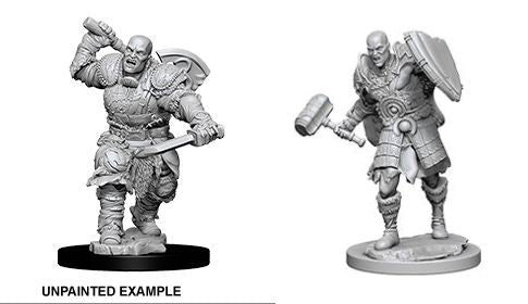 D&D: Nolzur's Marvelous Miniatures Goliath Fighter Male