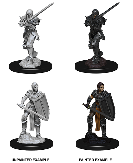 D&D: Nolzur's Marvelous Miniatures Human Fighter Female