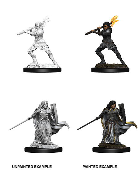 D&D: Nolzur's Marvelous Miniatures Human Paladin Female