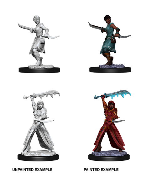 D&D: Nolzur's Marvelous Miniatures Human Rogue Female