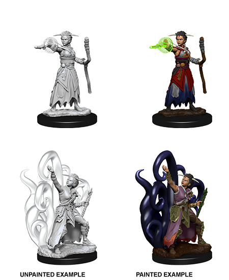D&D: Nolzur's Marvelous Miniatures Human Warlock Female