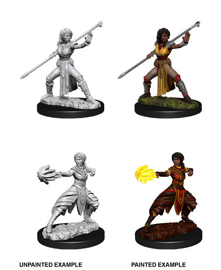 D&D: Nolzur's Marvelous Miniatures Half-Elf Monk Female