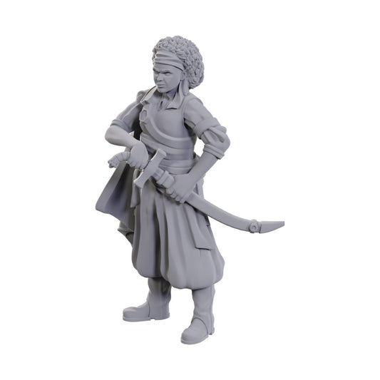 D&D: Nolzur's Marvelous Miniatures Ansalon Human Rogue