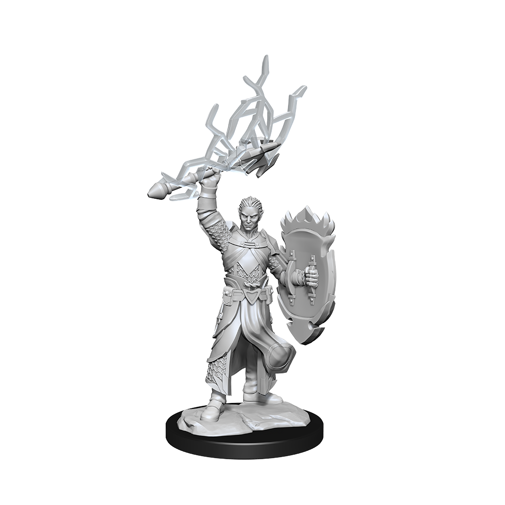 D&D: Nolzur's Marvelous Miniatures Half-Elf Paladin Male