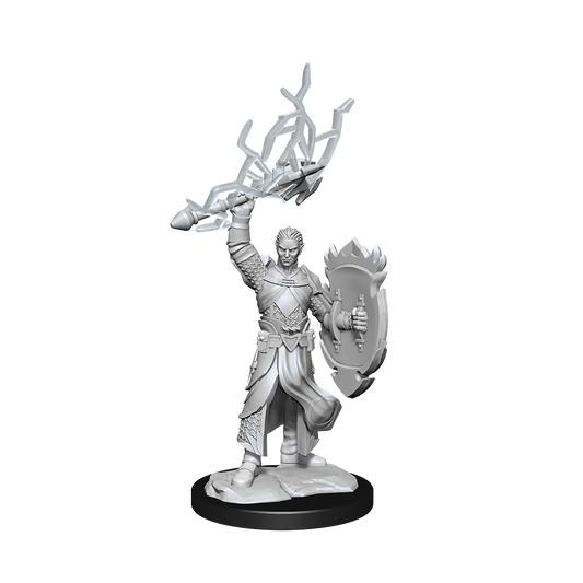 D&D: Nolzur's Marvelous Miniatures Half-Elf Paladin Male