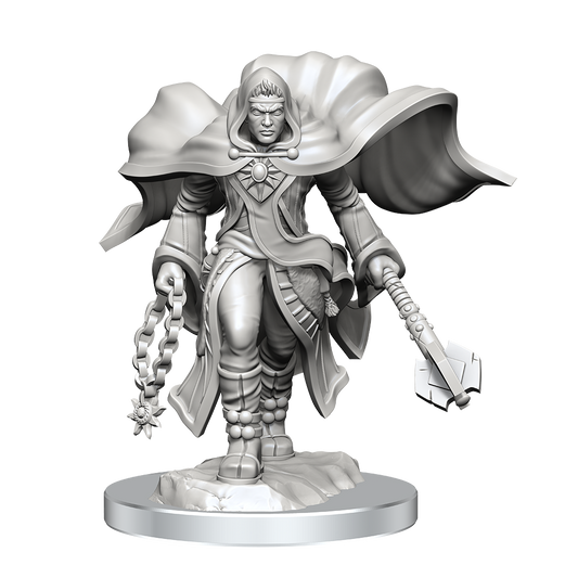 D&D: Nolzur's Marvelous Miniatures Aasimar Cleric Male