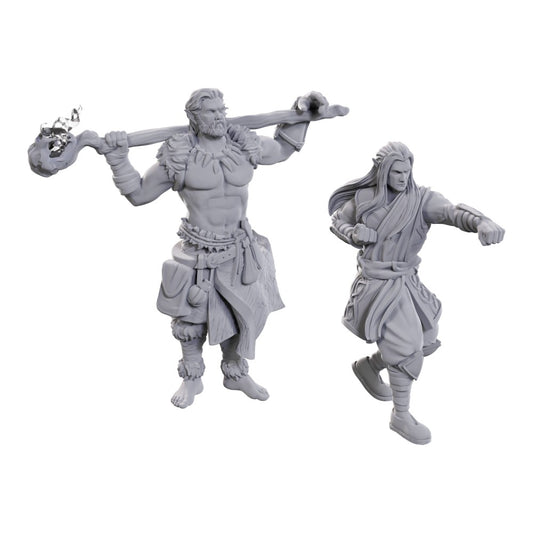 D&D: Nolzur's Marvelous Miniatures Archdruid & Martial Arts Adept