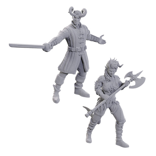 D&D: Nolzur's Marvelous Miniatures Baldur's Gate 3 Wyll & Karlach