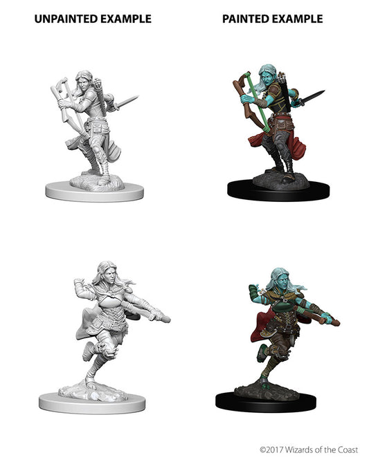 D&D: Nolzur's Marvelous Miniatures Air Genasi Rogue Female