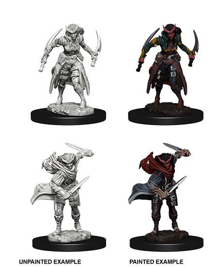 D&D: Nolzur's Marvelous Miniatures Tiefling Rogue Female
