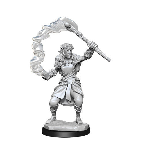 D&D: Nolzur's Marvelous Miniatures Firbolg Druid Female