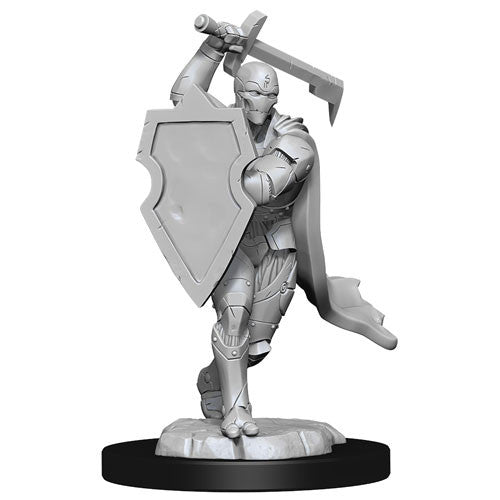 D&D: Nolzur's Marvelous Miniatures Warforged Fighter Male