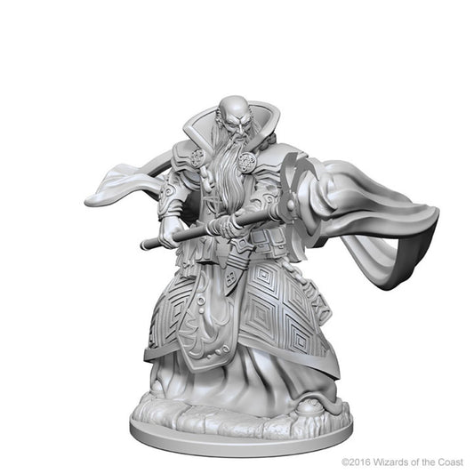 D&D: Nolzur's Marvelous Miniatures Human Wizard Male