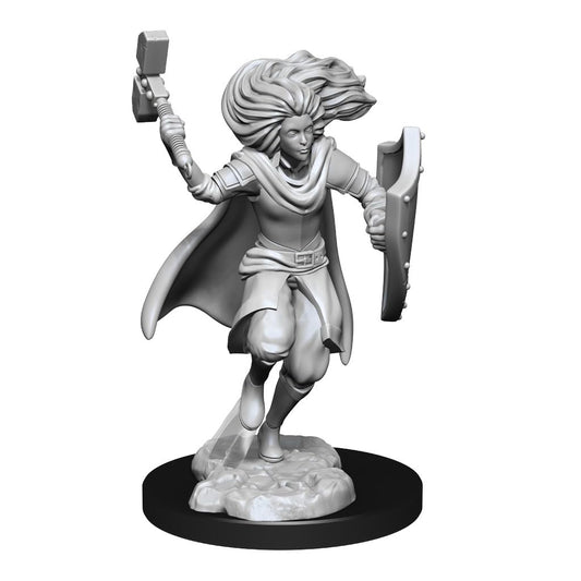 D&D: Nolzur's Marvelous Miniatures Changeling Cleric