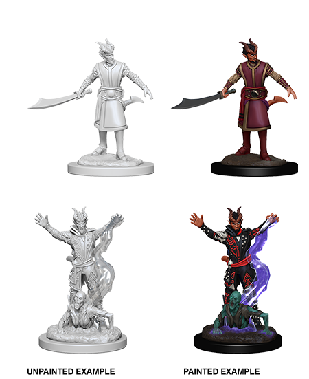 D&D: Nolzur's Marvelous Miniatures Tiefling Warlock Male