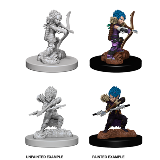 Pathfinder: Deep Cuts Miniatures Gnome Rogue Female