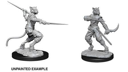 D&D: Nolzur's Marvelous Miniatures Tabaxi Rogue Male