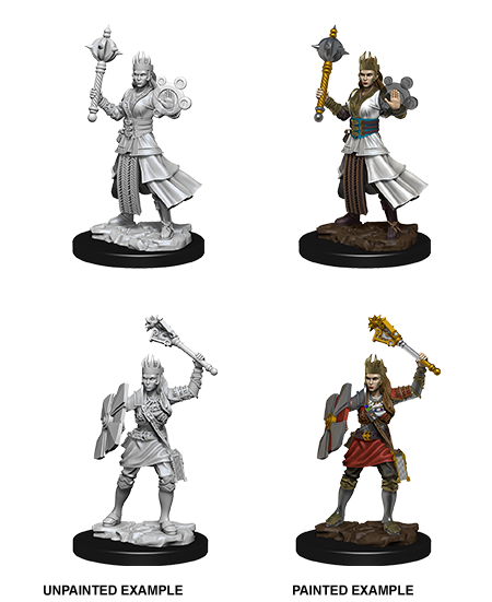D&D: Nolzur's Marvelous Miniatures Human Cleric Female