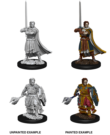 D&D: Nolzur's Marvelous Miniatures Human Cleric Male
