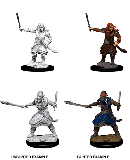 D&D: Nolzur's Marvelous Miniatures Bandits