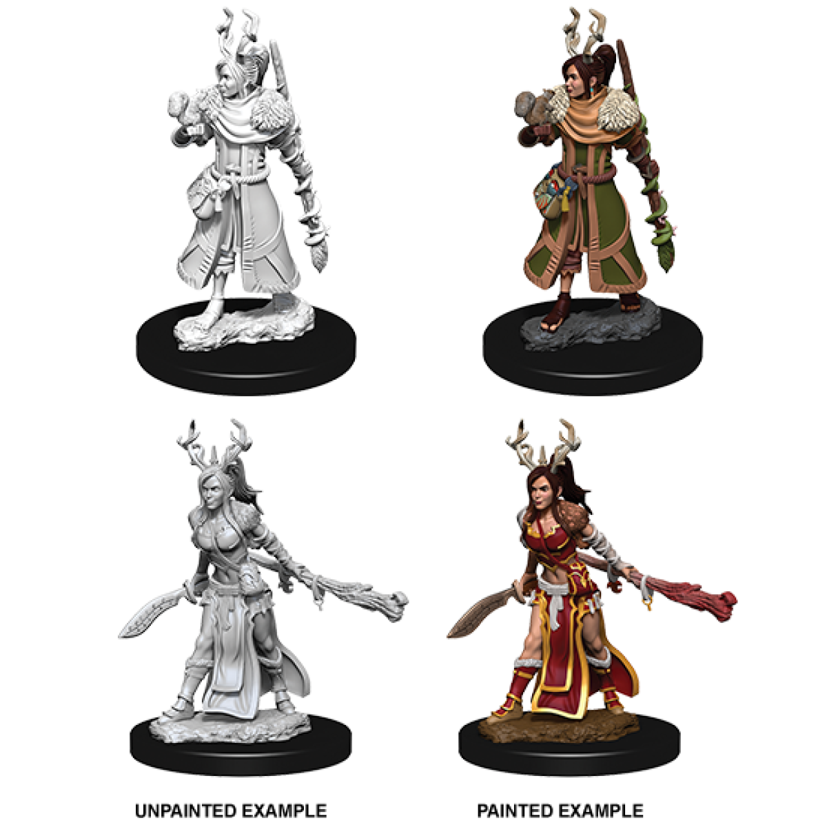 D&D: Nolzur's Marvelous Miniatures Human Druid Female