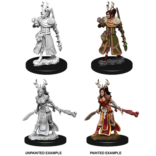 D&D: Nolzur's Marvelous Miniatures Human Druid Female