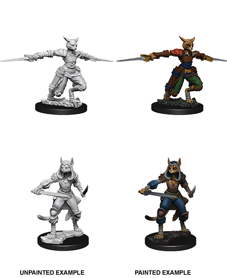 D&D: Nolzur's Marvelous Miniatures Tabaxi Rogue Female