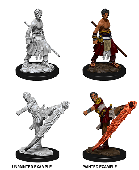 D&D: Nolzur's Marvelous Miniatures Half-Elf Monk Male