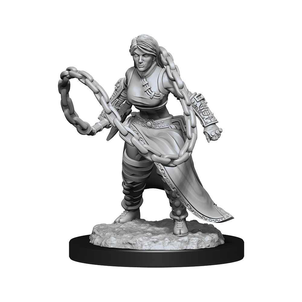 D&D: Nolzur's Marvelous Miniatures Human Monk Female