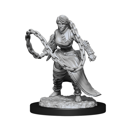 D&D: Nolzur's Marvelous Miniatures Human Monk Female