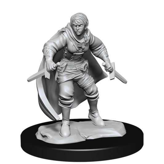 D&D: Nolzur's Marvelous Miniatures Half-Elf Rogue Female