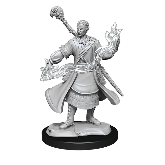 D&D: Nolzur's Marvelous Miniatures Half-Elf Wizard Male