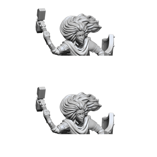 D&D: Nolzur's Marvelous Miniatures Changeling Cleric