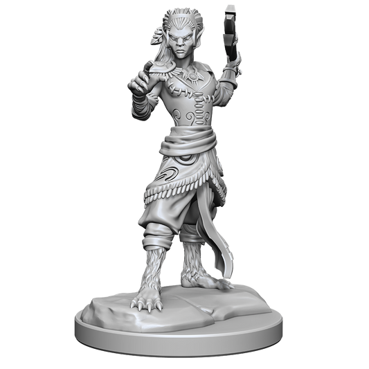 D&D: Nolzur's Marvelous Miniatures Shifter Fighter