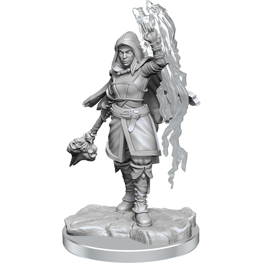 D&D: Nolzur's Marvelous Miniatures Half-Elf Warlock