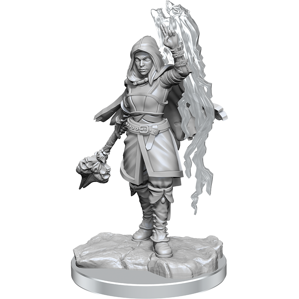 D&D: Nolzur's Marvelous Miniatures Half-Elf Warlock