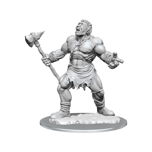 D&D: Nolzur's Marvelous Miniatures Cyclops