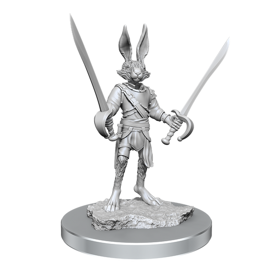 D&D: Nolzur's Marvelous Miniatures Harengon Rogues