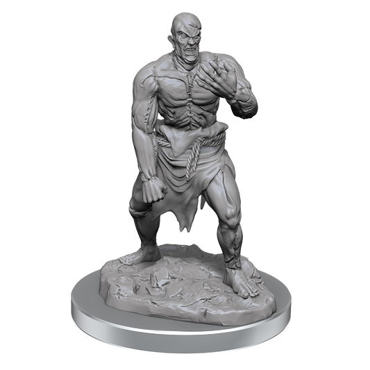 D&D: Nolzur's Marvelous Miniatures Flesh Golems