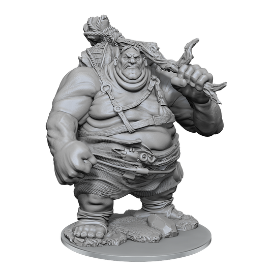 D&D: Nolzur's Marvelous Miniatures Hill Giant