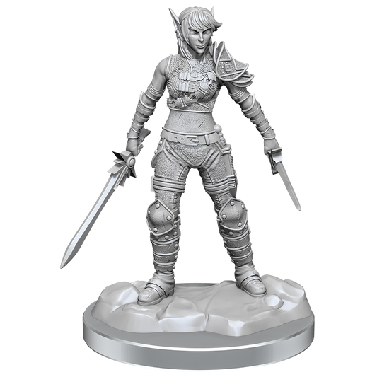 D&D: Nolzur's Marvelous Miniatures Elf Rogue & Half-Elf Rogue Protege