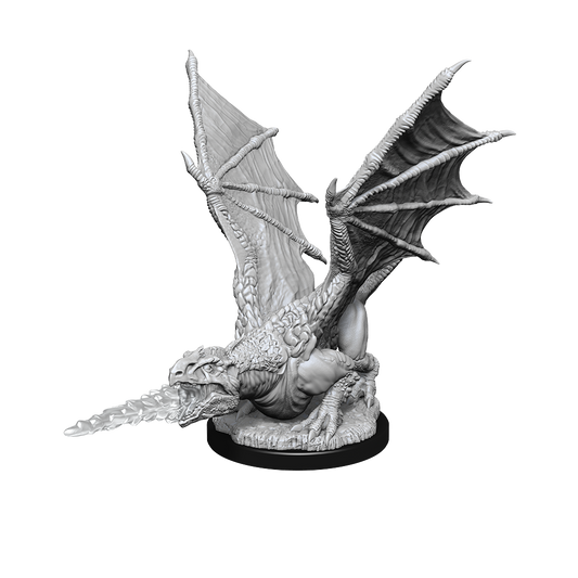 D&D: Nolzur's Marvelous Miniatures White Dragon Wyrmling