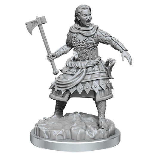 D&D: Nolzur's Marvelous Miniatures Human Fighters