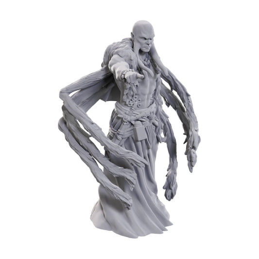 D&D: Nolzur's Marvelous Miniatures Kraken Priest