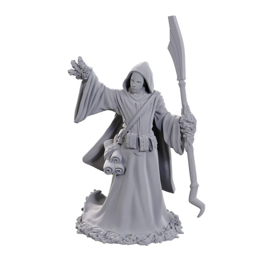 D&D: Nolzur's Marvelous Miniatures Star Spawn Larva Mage