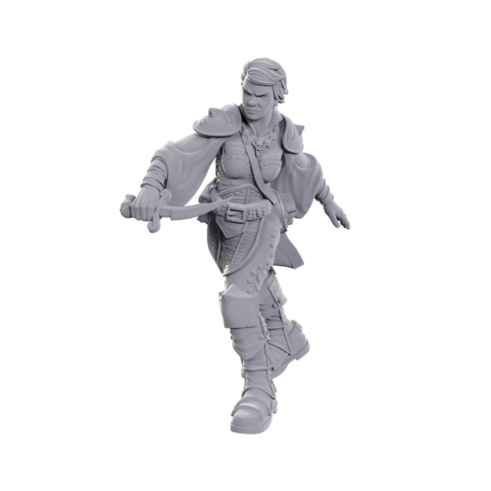 D&D: Nolzur's Marvelous Miniatures Swashbuckler