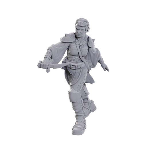 D&D: Nolzur's Marvelous Miniatures Swashbuckler