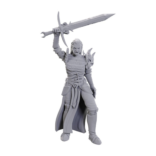 D&D: Nolzur's Marvelous Miniatures Blackguard