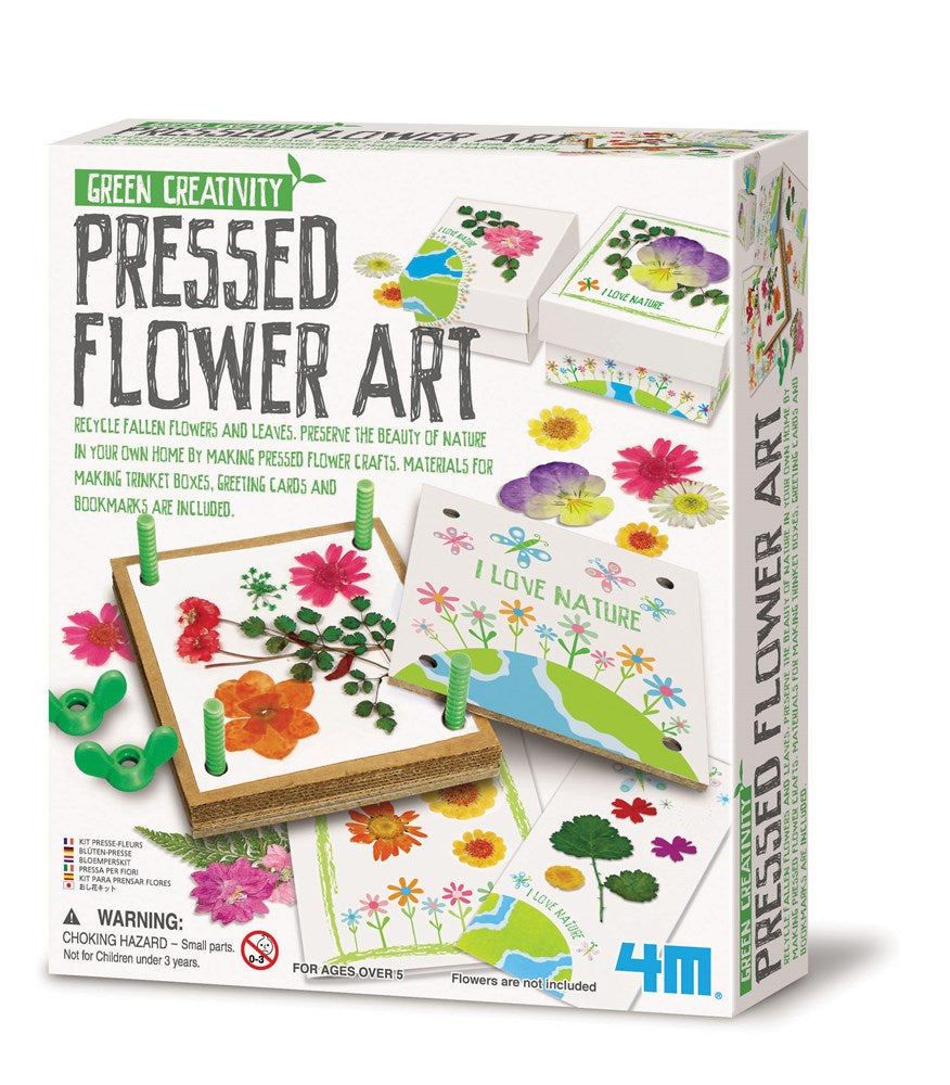 4M: Green Science Pressed Flower Art