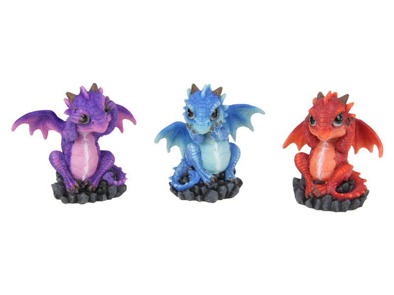 Coloured Wise Dragon on Black Gem 9cm (Assorted - One Randomly Selected)